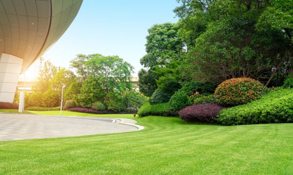 Commercial Lawn Care Service