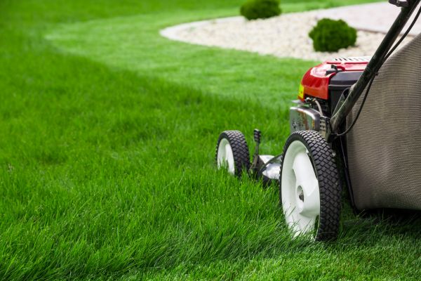 Cost of Grass Cutting Service in Raleigh