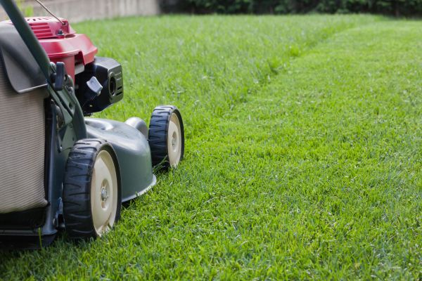 Cost of Lawn Care Service in Raleigh