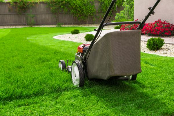 Cost of Lawn Mowing in Raleigh