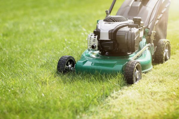 Cost of Yard Cutting in Raleigh