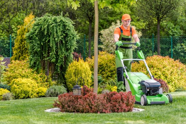 Cost of Yard Service in Raleigh
