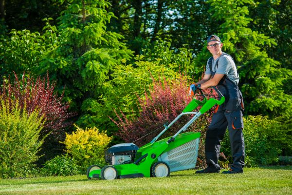 Cost of Yard Work Service in Raleigh