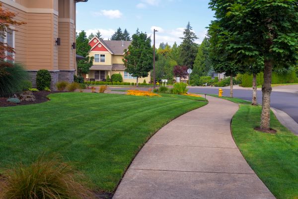 Cost of Home Lawn Maintenance in Raleigh
