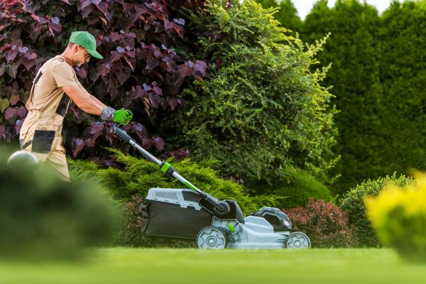 Cost of Lawn Management in Raleigh