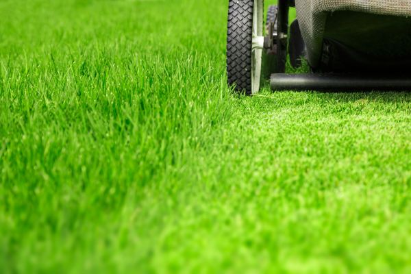 Cost of Weekly Lawn Care in Raleigh