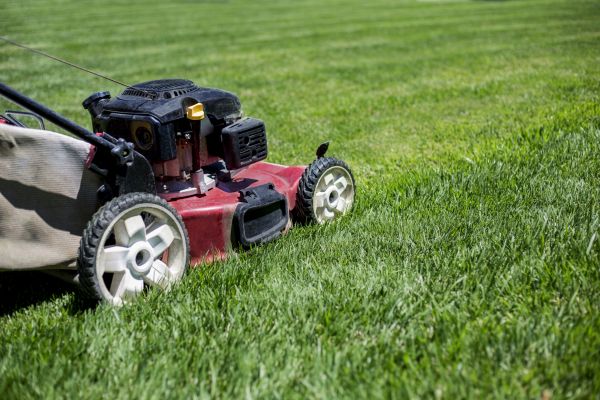 Cost of Routine Lawn Care in Raleigh