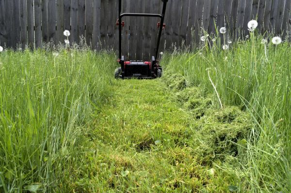 Cost of High Grass Mowing in Raleigh