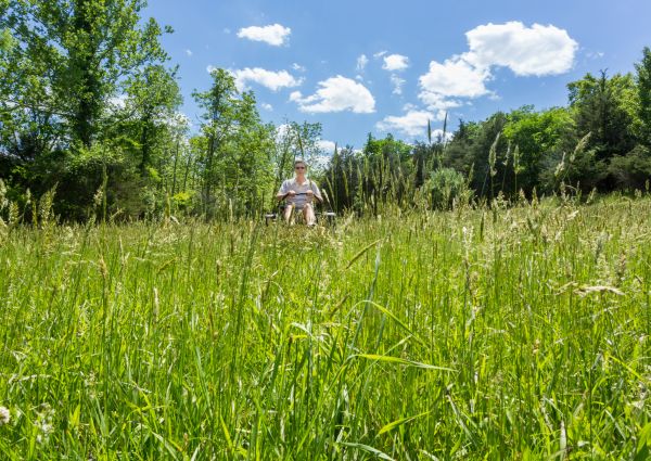 Cost of Long Grass Mowing in Raleigh
