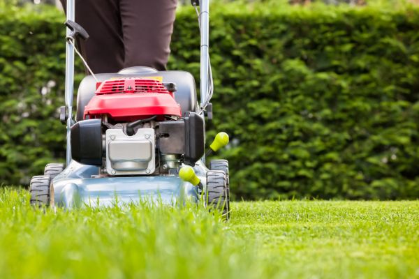 Cost of Grass Trimming Service in Raleigh