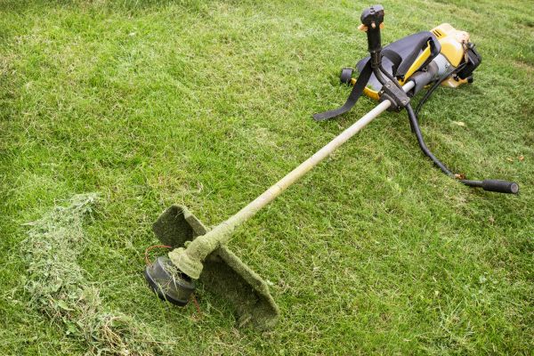 Cost of Hillside Weed Whacking in Raleigh