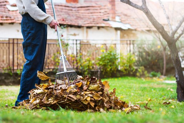 Cost of Routine Lawn Maintenance in Raleigh