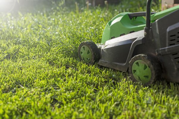 Cost of Yard Trimming in Raleigh