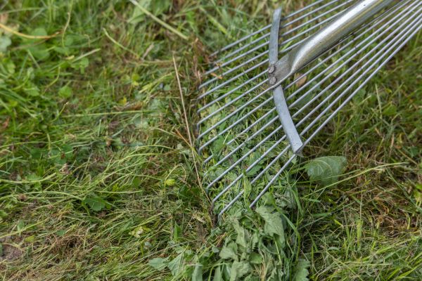 Cost of Thatch Raking in Raleigh