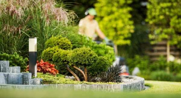 Cost of Residential Yard Maintenance in Raleigh