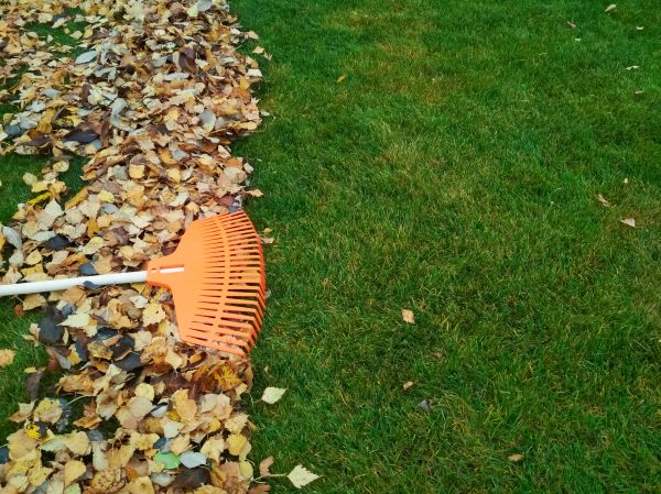 Cost of Fall Lawn Care in Raleigh