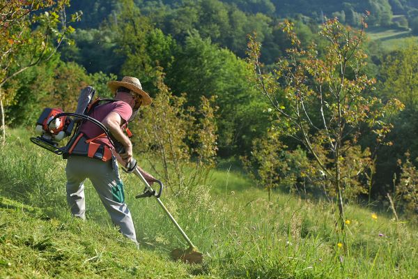 Cost of Slope Mowing in Raleigh