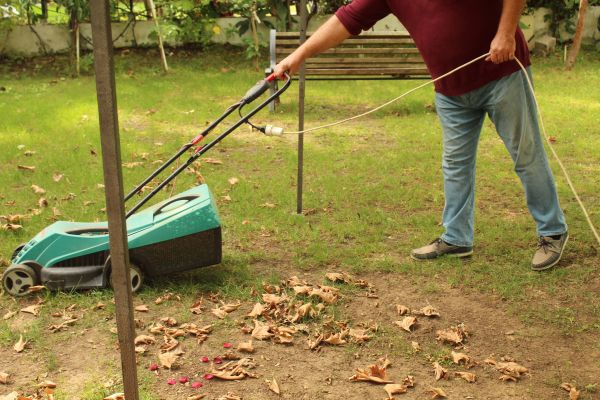 Cost of Leaves Mowing in Raleigh