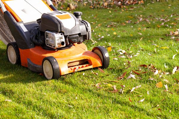 Cost of Fall Mowing in Raleigh