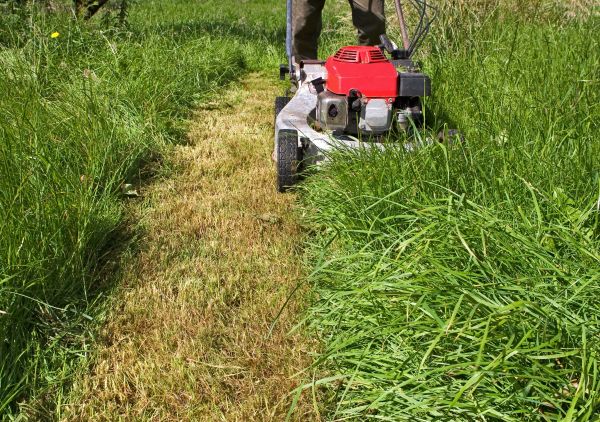 Cost of Leaf Mowing in Raleigh