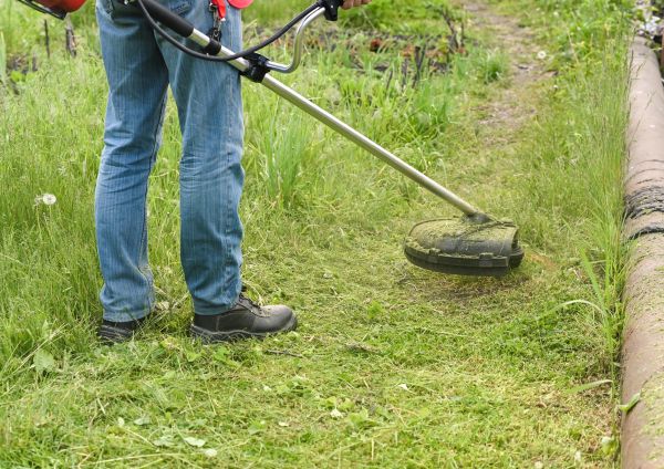 Cost of Tall Grass Trimming in Raleigh