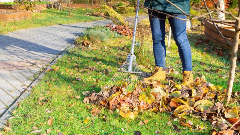 Raking Leaves Professionally