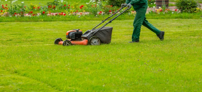 Lawn Care Service