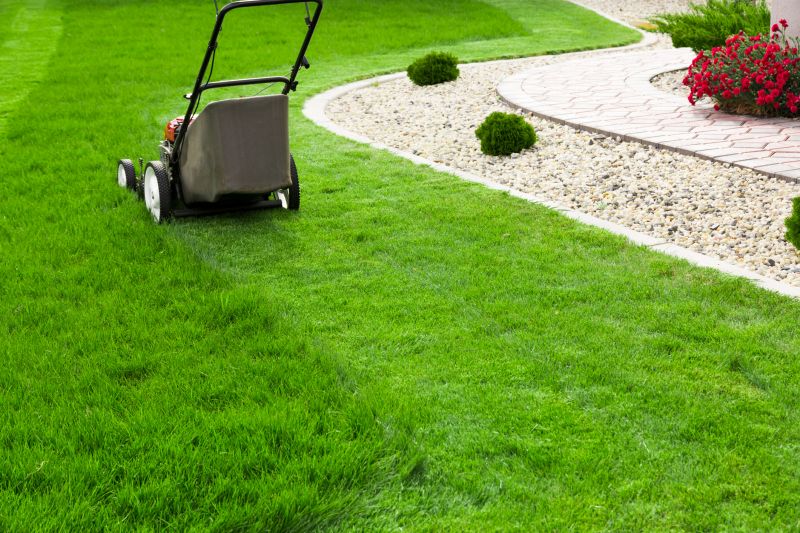 Lawn Before Mowing