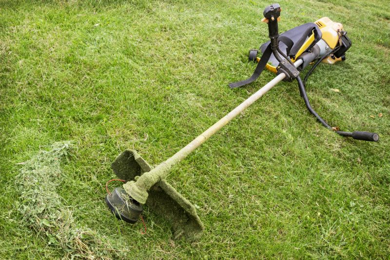 Lawn Weed Whacking